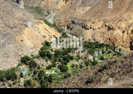 Regardant vers le bas sur l'Oasis Sangalle au Canyon du Colca au Pérou Banque D'Images