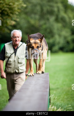 Maître et son obéissant (chien de berger allemand) à un centre de formation de chien Banque D'Images