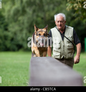 Maître et son obéissant (chien de berger allemand) à un centre de formation de chien Banque D'Images