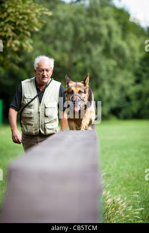 Maître et son obéissant (chien de berger allemand) à un centre de formation de chien Banque D'Images