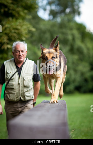 Maître et son obéissant (chien de berger allemand) à un centre de formation de chien Banque D'Images