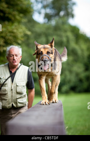 Maître et son obéissant (chien de berger allemand) à un centre de formation de chien Banque D'Images