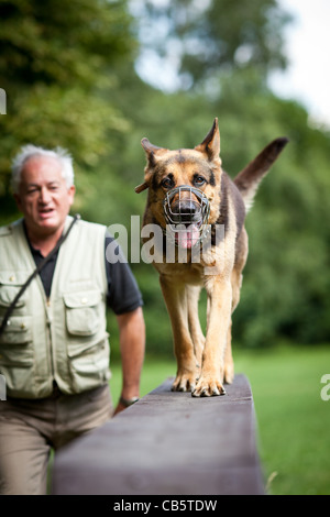 Maître et son obéissant (chien de berger allemand) à un centre de formation de chien Banque D'Images