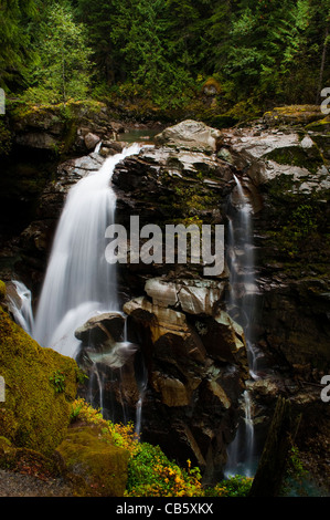 Naseux Falls est une chute d'eau le long de l'embranchement nord de la rivière Nooksack dans Whatcom County, Washington, USA. Banque D'Images