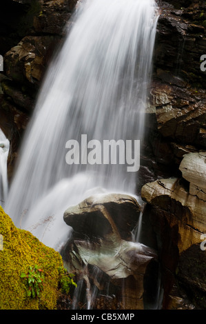 Naseux Falls est une chute d'eau le long de l'embranchement nord de la rivière Nooksack dans Whatcom County, Washington, USA. Banque D'Images