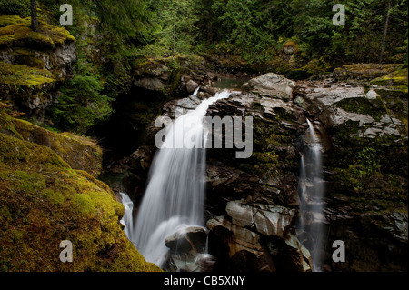 Naseux Falls est une chute d'eau le long de l'embranchement nord de la rivière Nooksack dans Whatcom County, Washington, USA. Banque D'Images