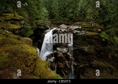 Naseux Falls est une chute d'eau le long de l'embranchement nord de la rivière Nooksack dans Whatcom County, Washington, USA. Banque D'Images