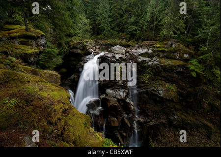 Naseux Falls est une chute d'eau le long de l'embranchement nord de la rivière Nooksack dans Whatcom County, Washington, USA. Banque D'Images