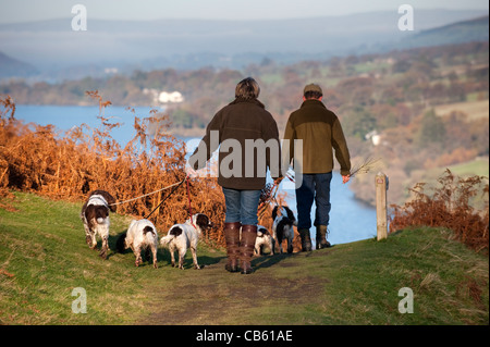 Couple walking Spaniel chiens sur le plomb, donnant sur Ullswater en automne. Banque D'Images