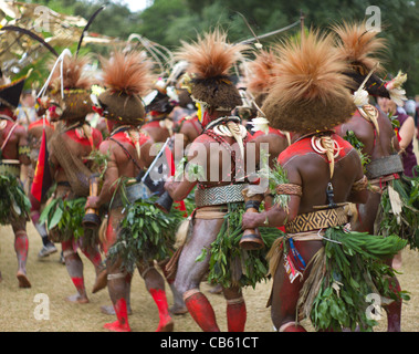 La Papouasie-Nouvelle-Guinée Highland Tribal Festival Womad à effectuer les hommes hommes perruque Banque D'Images