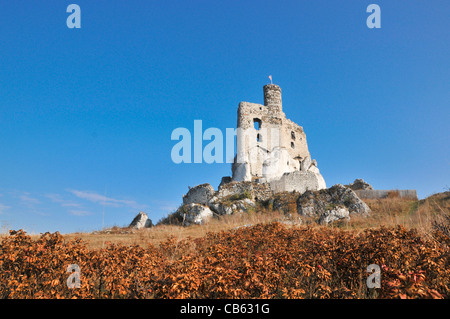 Château médiéval Mirów en Pologne. Banque D'Images