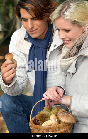 Couple cueillette de champignons Banque D'Images