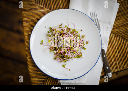 Simple salade de radis Rose de Chine a fait germer, habillé avec de la sauce soja et le vinaigre de riz. Banque D'Images