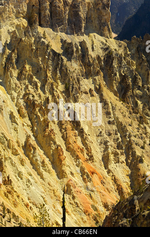 Les falaises rouges du Grand Canyon de Yellowstone Banque D'Images