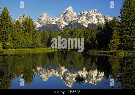 La réflexion de Grand Teton Banque D'Images