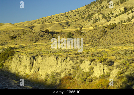 Un Bull Elk le long d'une falaise et le Gardiner River avec le soleil dans le Parc National de Yellowstone. Banque D'Images