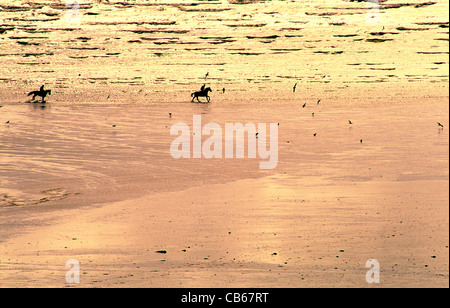 Couple de l'équitation le long de la plage de Pendine Sands, la baie de Carmarthen, Dyfed, Pays de Galles, Royaume-Uni Banque D'Images
