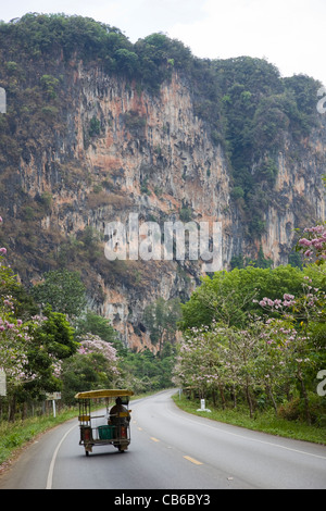 La Thaïlande, Phuket, Krabi, route et Falaise karstique Banque D'Images