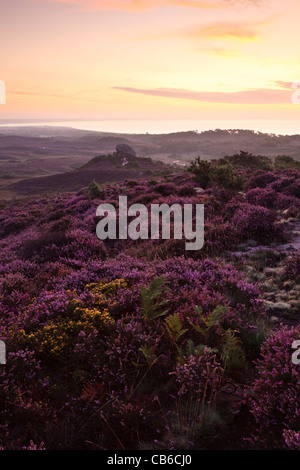 Godlingston Heath, Studland, Dorset, UK au lever du soleil, en regardant vers Agglestone Rock et le port de Poole Banque D'Images