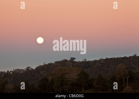 Lune et ciel coloré avant l'aube, près de la frontière du parc national La Amistad, Chiriqui province, République du Panama. Banque D'Images