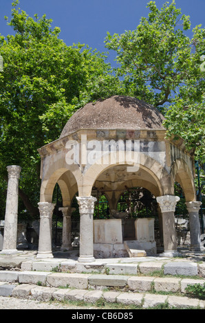 L'arbre d'Hippocrates et fontaine ottomane dans la région de Plateia Platanou, Kos Town, île de Kos, Grèce Banque D'Images