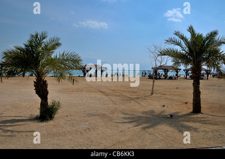 Deux palmiers sur la plage, la Mer Morte, Israël, Asie Banque D'Images