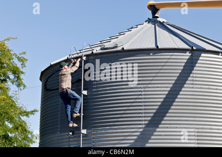 Producteur de blé climbing ladder, la trémie de stockage du grain. Banque D'Images