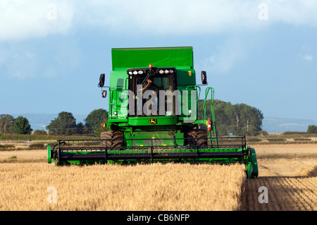 La récolte d'orge avec John Deere T560 moissonneuse-batteuse. Banque D'Images