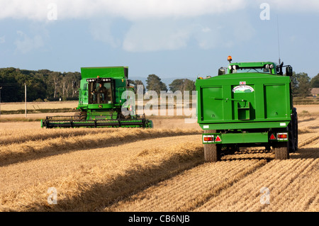 La récolte d'orge avec John Deere T560 moissonneuse-batteuse. Banque D'Images