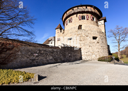 Château de Vaduz, vallée du Rhin, Lichtenstein Banque D'Images