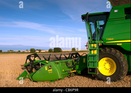 La récolte d'orge avec John Deere T560 moissonneuse-batteuse. Banque D'Images