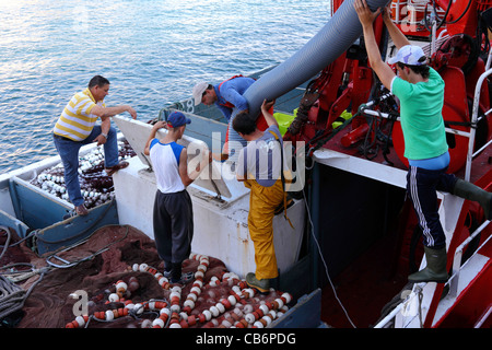 Les pêcheurs qui chargent le chalutier avec de la glace dans le port avant de quitter le port , Vigo , Galice , Espagne Banque D'Images