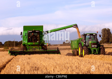 Moissonneuse-batteuse John Deere T560 remorque de remplissage avec grain d'orge. Banque D'Images