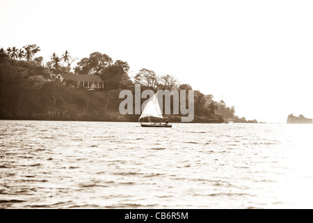 Une pirogue à balancier traditionnelle au coucher du soleil à Ankify off, près de Nosy Be, avec une forêt luxuriante, dense à l'arrière-plan. Banque D'Images