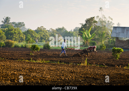 Rototills agriculteur ferme au petit matin dans les régions rurales de la province de Chiang Mai dans le nord de la Thaïlande Banque D'Images