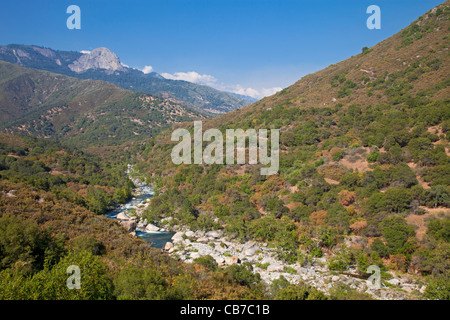 Vue depuis la route du Général avec Moro Rock, Sequoia National Park, Californie, USA Banque D'Images