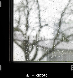 Décor de l'automne montrant le bord d'une fenêtre avec le rouleau de gouttes de pluie et un arbre sans feuilles floue à l'arrière Banque D'Images