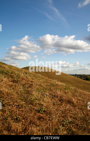 Northala Fields, Northolt, Londres, UK Banque D'Images