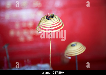 La combustion d'encens en spirale dans l'intérieur du petit temple tai pak stanley, hong kong, Hong Kong, Chine Banque D'Images