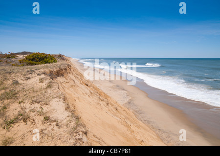 Dunes de Plage Marconi dérive, Cape Cod Banque D'Images