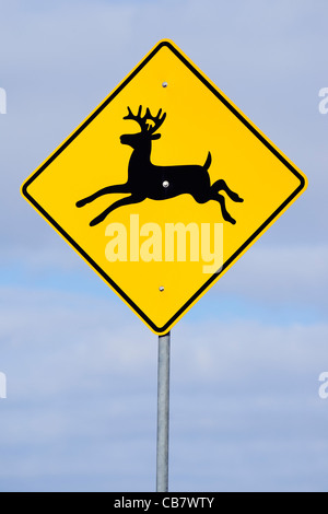 Deer crossing road sign. Banque D'Images