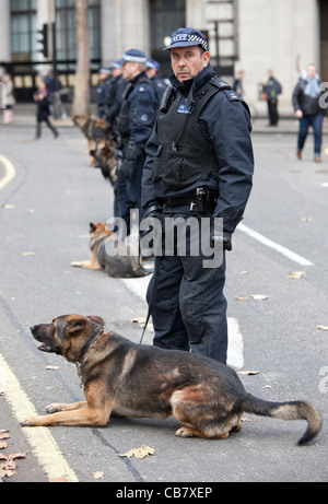 Force de police britannique Riot avec chiens, à la grève du secteur public (les syndicats), Londres, Angleterre, 2011, Royaume-Uni. Banque D'Images