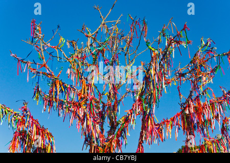 Bonne chance avec les arbres des rubans rouges, Yalta, Crimée, Ukraine Banque D'Images