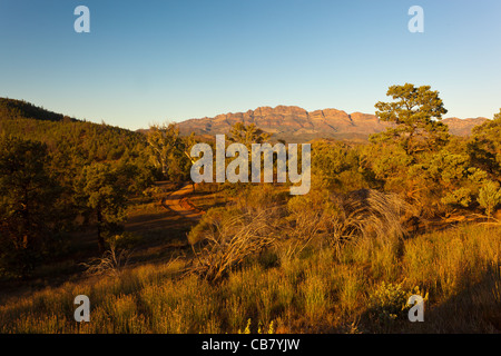 Tôt le matin, vue sur la station de Black Country Comfort Adelaide d'écart avec la gamme d'un Aîné dans la chaîne de Flinders en Australie du Sud de l'outback Banque D'Images