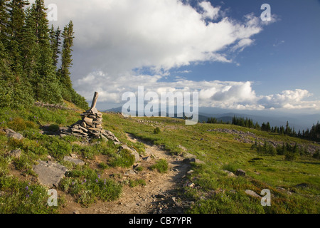 Cairn marquant le Pacific Crest Trail qui traverse les prairies alpines au-dessus de Snowgrass appartements dans les roches de chèvre sauvage. Banque D'Images