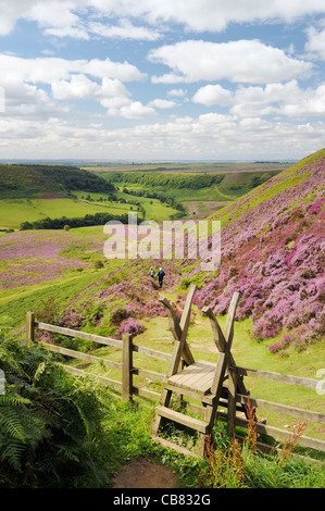 Stile, marcheurs et sentier du sud au trou de Horcum couverts heather moor land. North York Moors National Park, Angleterre. L'été Banque D'Images