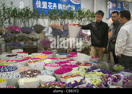 Chine Yunnan Kunming marché aux fleurs Banque D'Images