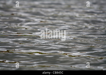 Au niveau de l'eau (CTK Photo/Marketa Hofmanova) Banque D'Images