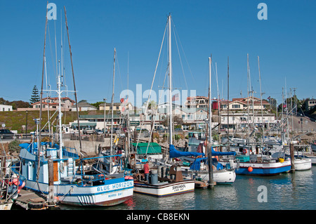 Morro Bay Harbour Port Mer Californie United States Banque D'Images