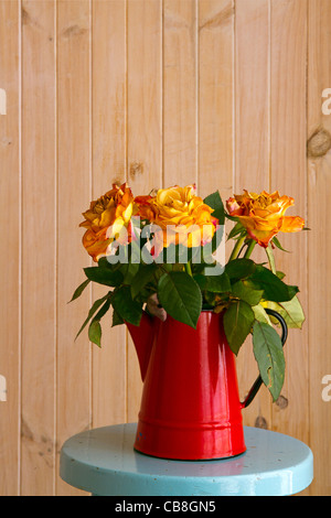 Orange pâle roses dans un vase rouge café peut Banque D'Images